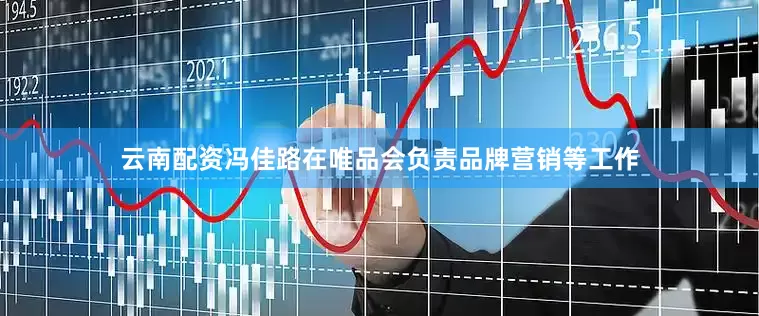 云南配资冯佳路在唯品会负责品牌营销等工作