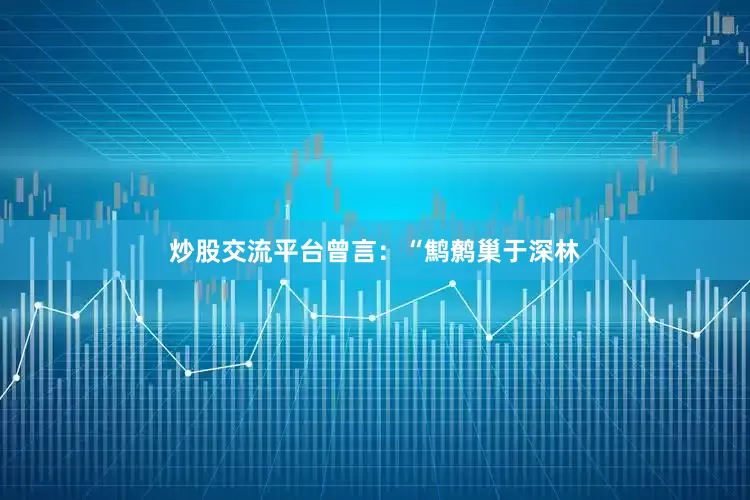 炒股交流平台曾言：“鹪鹩巢于深林